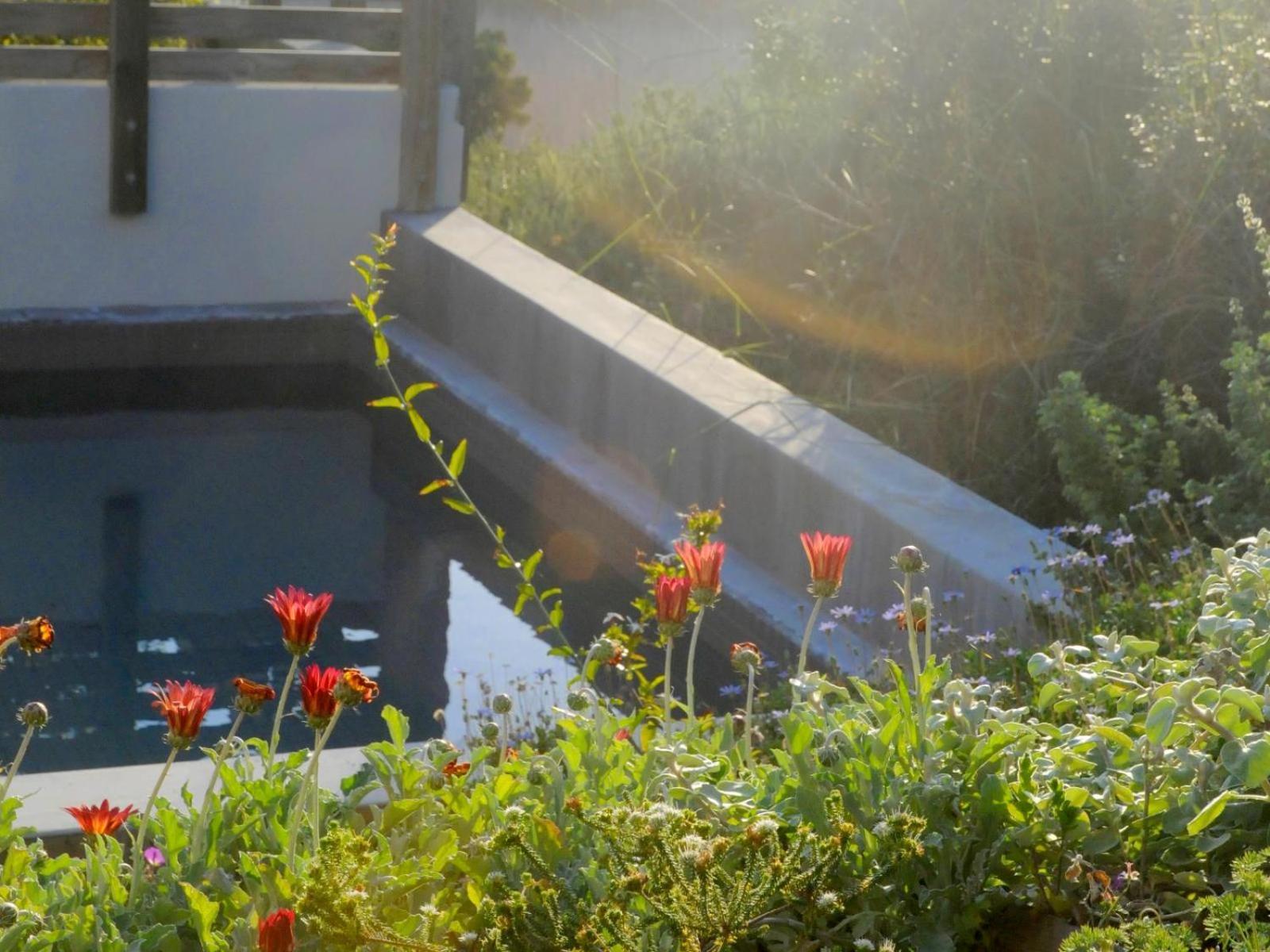 Christiana Lodge Plettenberg Bay Værelse billede